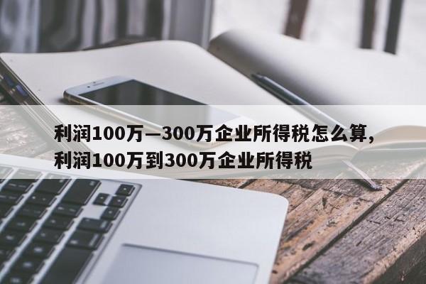 利润100万—300万企业所得税怎么算,利润100万到300万企业所得税