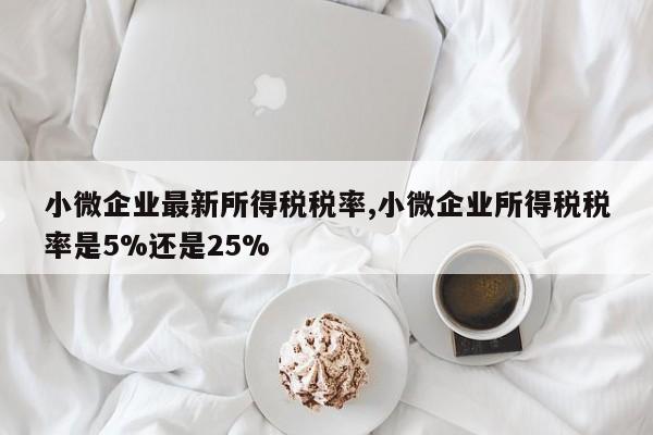 小微企业最新所得税税率,小微企业所得税税率是5%还是25%