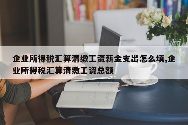 企业所得税汇算清缴工资薪金支出怎么填,企业所得税汇算清缴工资总额