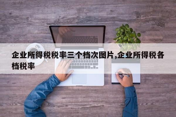 企业所得税税率三个档次图片,企业所得税各档税率
