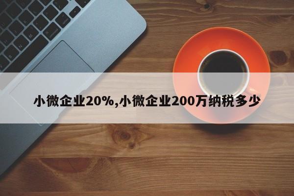 小微企业20%,小微企业200万纳税多少