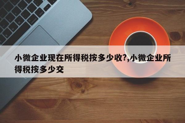 小微企业现在所得税按多少收?,小微企业所得税按多少交