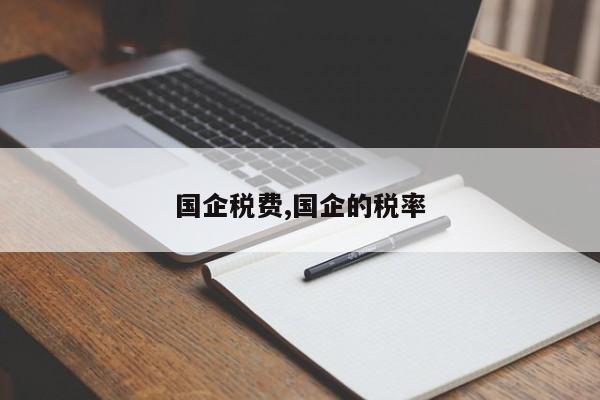 国企税费,国企的税率