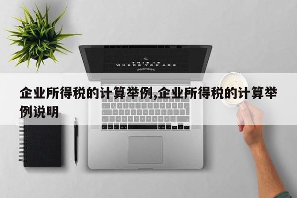 企业所得税的计算举例,企业所得税的计算举例说明
