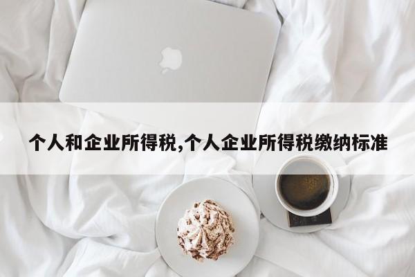 个人和企业所得税,个人企业所得税缴纳标准
