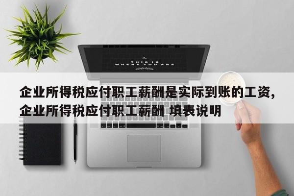 企业所得税应付职工薪酬是实际到账的工资,企业所得税应付职工薪酬 填表说明