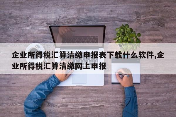 企业所得税汇算清缴申报表下载什么软件,企业所得税汇算清缴网上申报