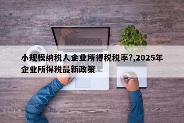 小规模纳税人企业所得税税率?,2025年企业所得税最新政策