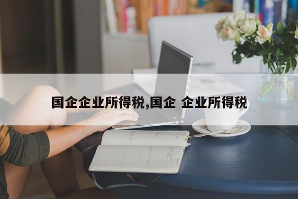 国企企业所得税,国企 企业所得税
