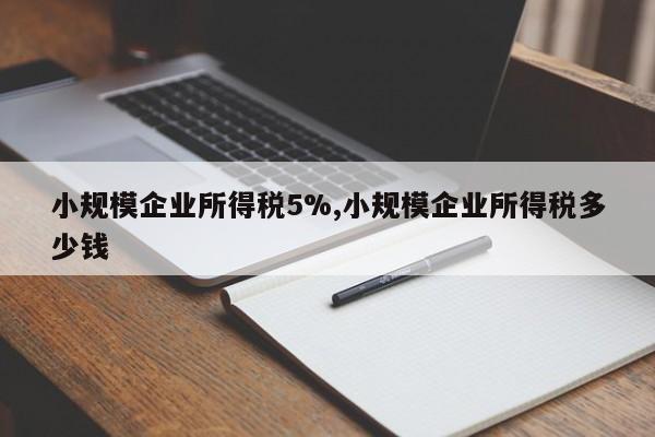 小规模企业所得税5%,小规模企业所得税多少钱