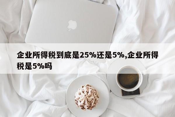 企业所得税到底是25%还是5%,企业所得税是5%吗