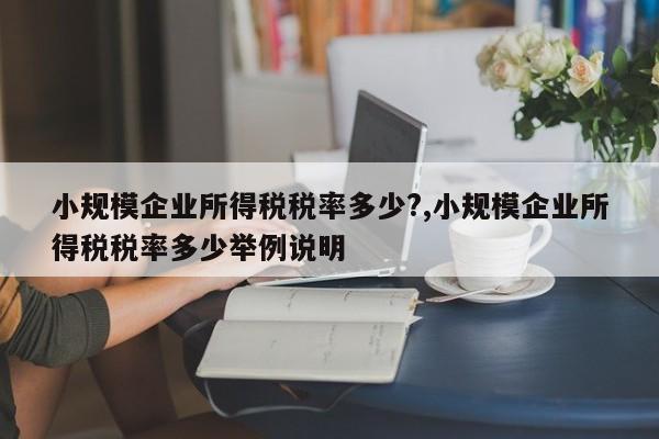 小规模企业所得税税率多少?,小规模企业所得税税率多少举例说明
