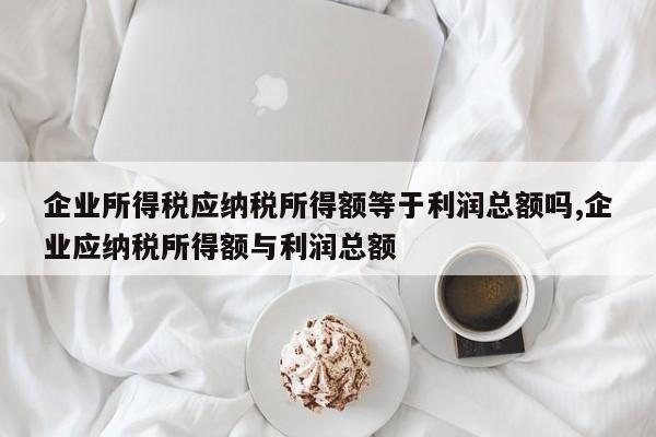 企业所得税应纳税所得额等于利润总额吗,企业应纳税所得额与利润总额