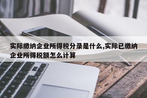 实际缴纳企业所得税分录是什么,实际已缴纳企业所得税额怎么计算