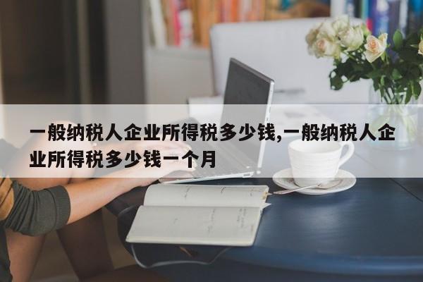 一般纳税人企业所得税多少钱,一般纳税人企业所得税多少钱一个月