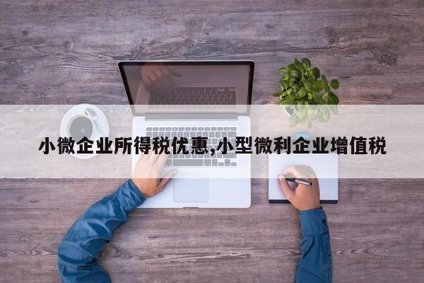 小微企业所得税优惠,小型微利企业增值税