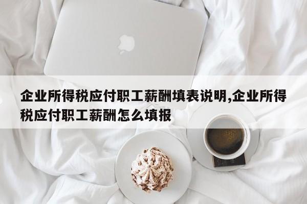 企业所得税应付职工薪酬填表说明,企业所得税应付职工薪酬怎么填报