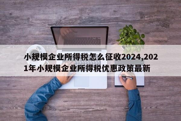 小规模企业所得税怎么征收2024,2021年小规模企业所得税优惠政策最新