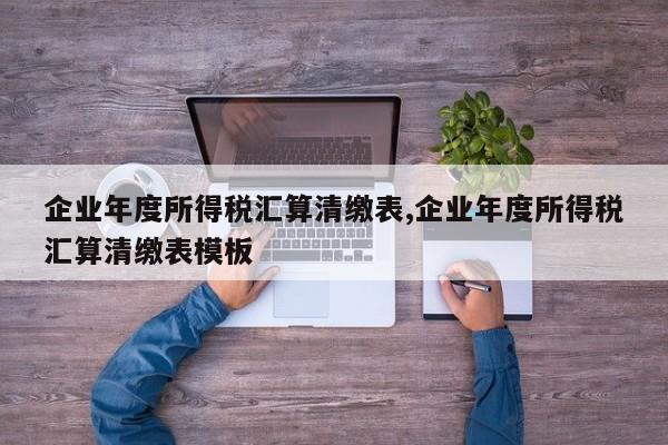 企业年度所得税汇算清缴表,企业年度所得税汇算清缴表模板