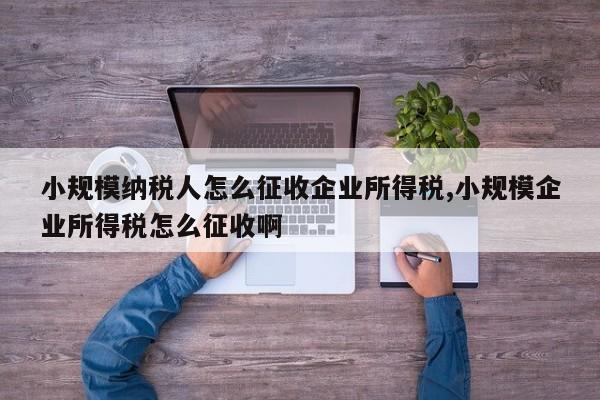 小规模纳税人怎么征收企业所得税,小规模企业所得税怎么征收啊