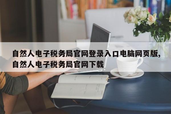 自然人电子税务局官网登录入口电脑网页版,自然人电子税务局官网下载