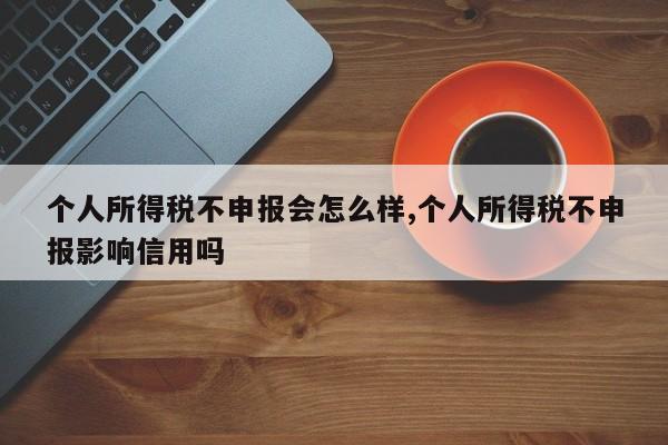 个人所得税不申报会怎么样,个人所得税不申报影响信用吗