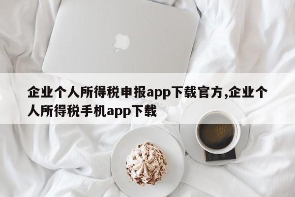 企业个人所得税申报app下载官方,企业个人所得税手机app下载