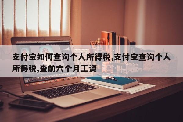 支付宝如何查询个人所得税,支付宝查询个人所得税,查前六个月工资