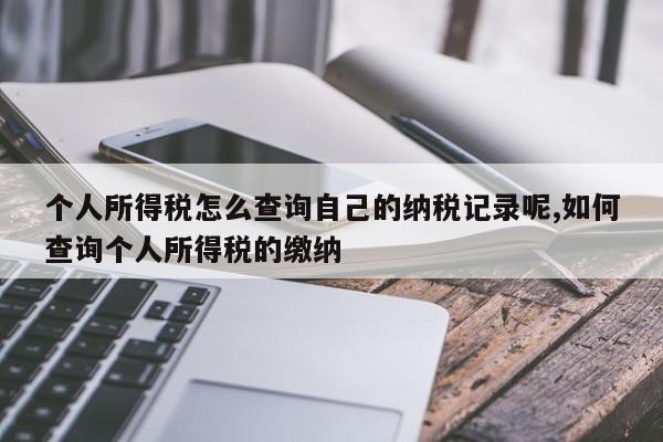 个人所得税怎么查询自己的纳税记录呢,如何查询个人所得税的缴纳