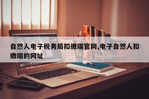自然人电子税务局扣缴端官网,电子自然人扣缴端的网址