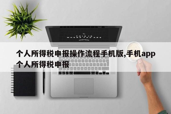 个人所得税申报操作流程手机版,手机app个人所得税申报