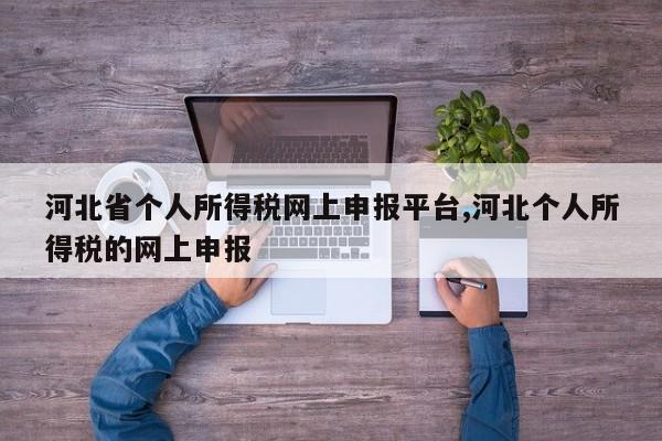 河北省个人所得税网上申报平台,河北个人所得税的网上申报