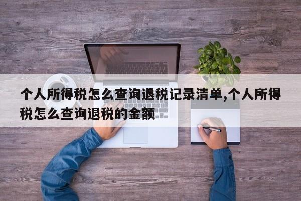 个人所得税怎么查询退税记录清单,个人所得税怎么查询退税的金额