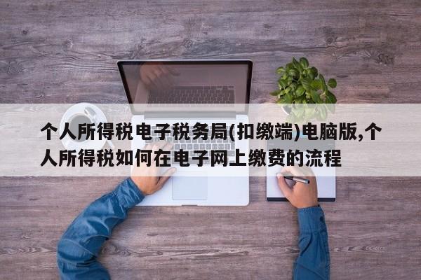 个人所得税电子税务局(扣缴端)电脑版,个人所得税如何在电子网上缴费的流程