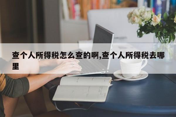 查个人所得税怎么查的啊,查个人所得税去哪里