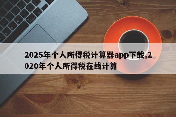 2025年个人所得税计算器app下载,2020年个人所得税在线计算