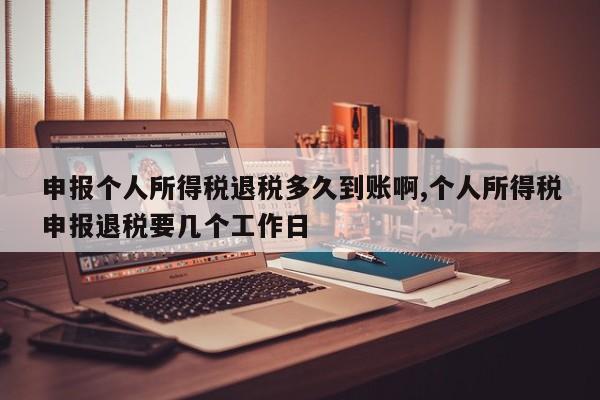 申报个人所得税退税多久到账啊,个人所得税申报退税要几个工作日