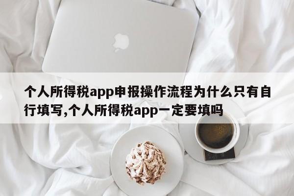 个人所得税app申报操作流程为什么只有自行填写,个人所得税app一定要填吗