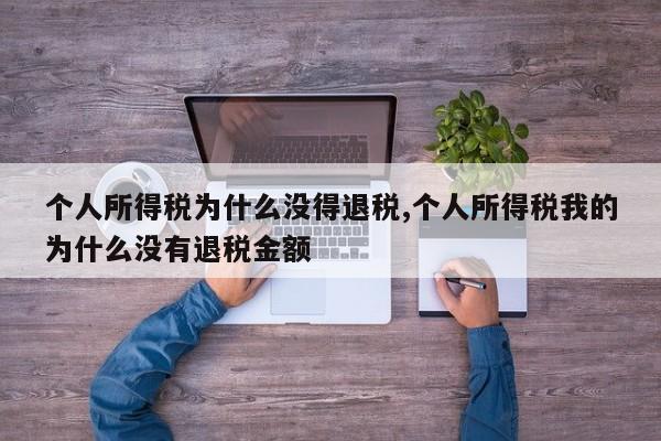 个人所得税为什么没得退税,个人所得税我的为什么没有退税金额