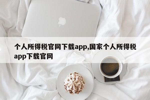 个人所得税官网下载app,国家个人所得税app下载官网