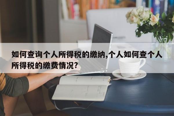 如何查询个人所得税的缴纳,个人如何查个人所得税的缴费情况?