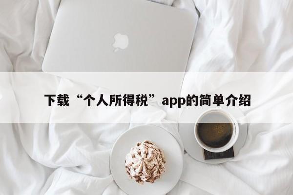 下载“个人所得税”app的简单介绍