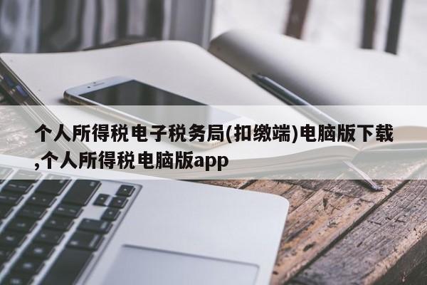 个人所得税电子税务局(扣缴端)电脑版下载,个人所得税电脑版app