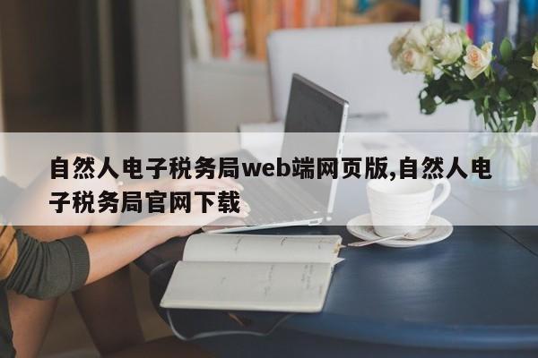自然人电子税务局web端网页版,自然人电子税务局官网下载