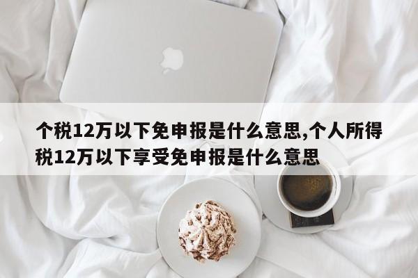 个税12万以下免申报是什么意思,个人所得税12万以下享受免申报是什么意思